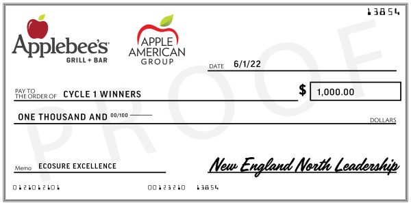 PROOF_AAG_NE-NEN_Cycle 1 Winners_Big Check_48x24